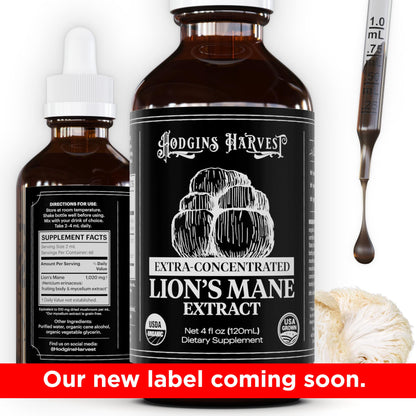 Hodgins Harvest Organic Lion's Mane Fruiting Body Extract Tincture - Mushroom Supplement for Brain Health and Mental Focus - Dual Extract Formula - Extra Concentrated - 4 fl oz Bottle - PrimeBioHealth - canada supplements