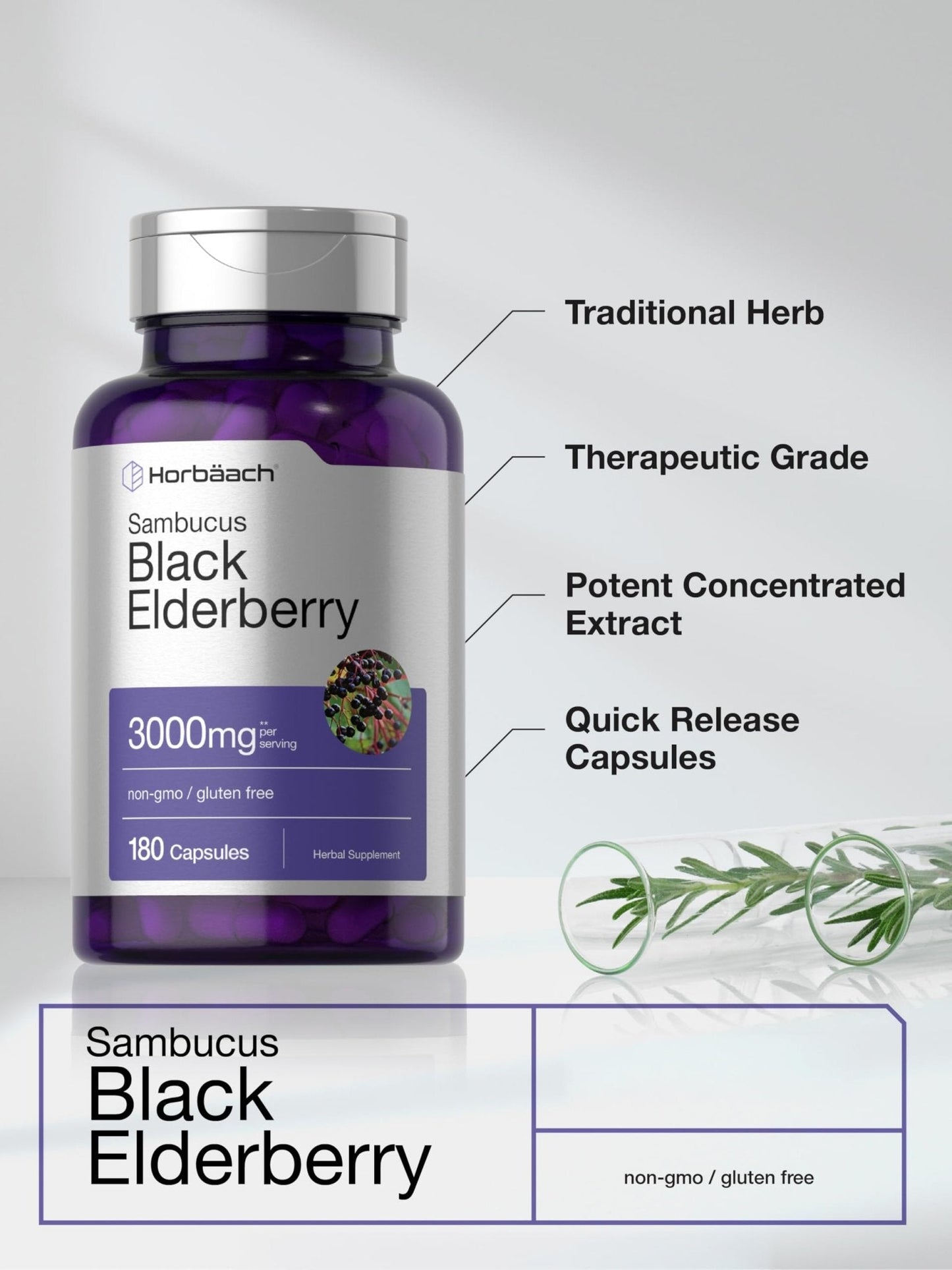 Horbäach Black Elderberry | 180 Count | Non-GMO, Gluten Free | Sambucus Extract Supplement - PrimeBioHealth - canada supplements