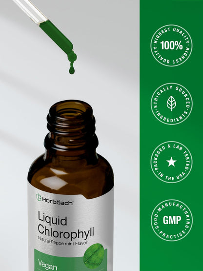 Horbäach Liquid Chlorophyll Drops | 2 oz | Vegan, Non-GMO, and Gluten Free Formula | Natural Peppermint Flavor - PrimeBioHealth - canada supplements
