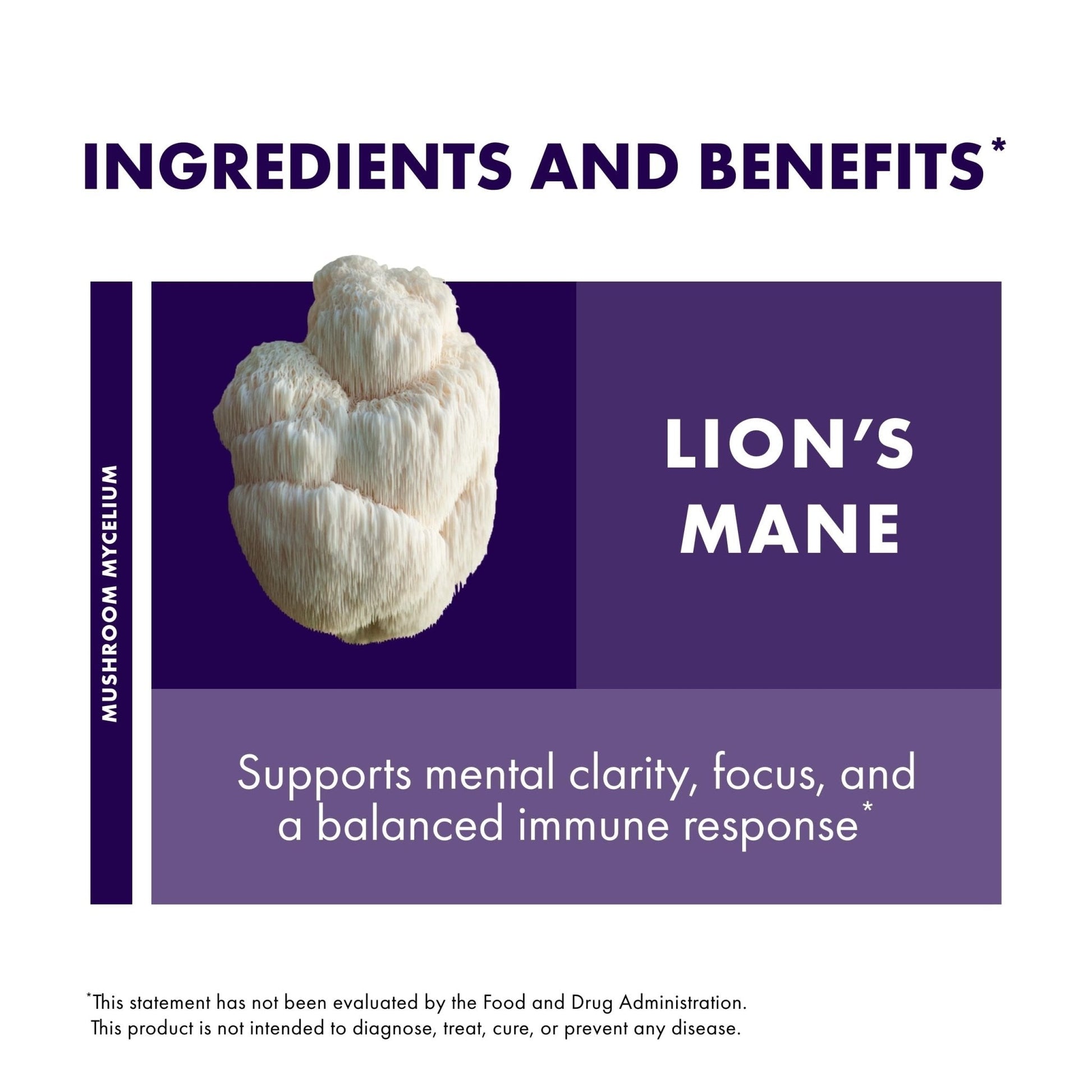 Host Defense Mushrooms Lion's Mane - Supplement Capsules for Brain Health Support - Mushroom Support for Focus & Memory Function - PrimeBioHealth - canada supplements
