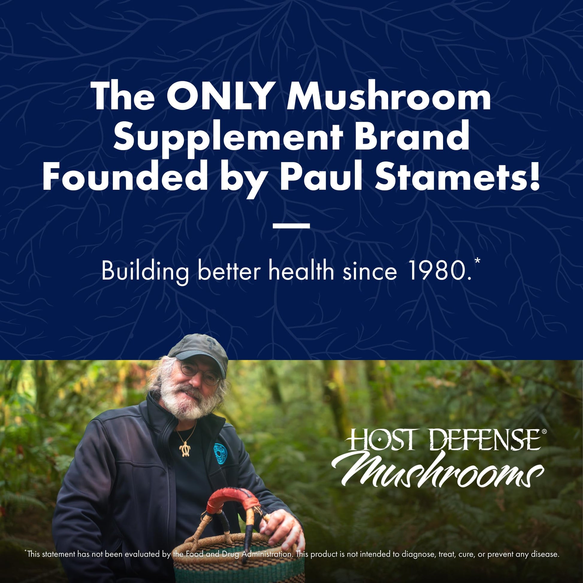Host Defense Mushrooms Lion's Mane - Supplement Capsules for Brain Health Support - Mushroom Support for Focus & Memory Function - PrimeBioHealth - canada supplements