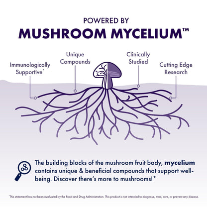 Host Defense Mushrooms Lion's Mane - Supplement Capsules for Brain Health Support - Mushroom Support for Focus & Memory Function - PrimeBioHealth - canada supplements