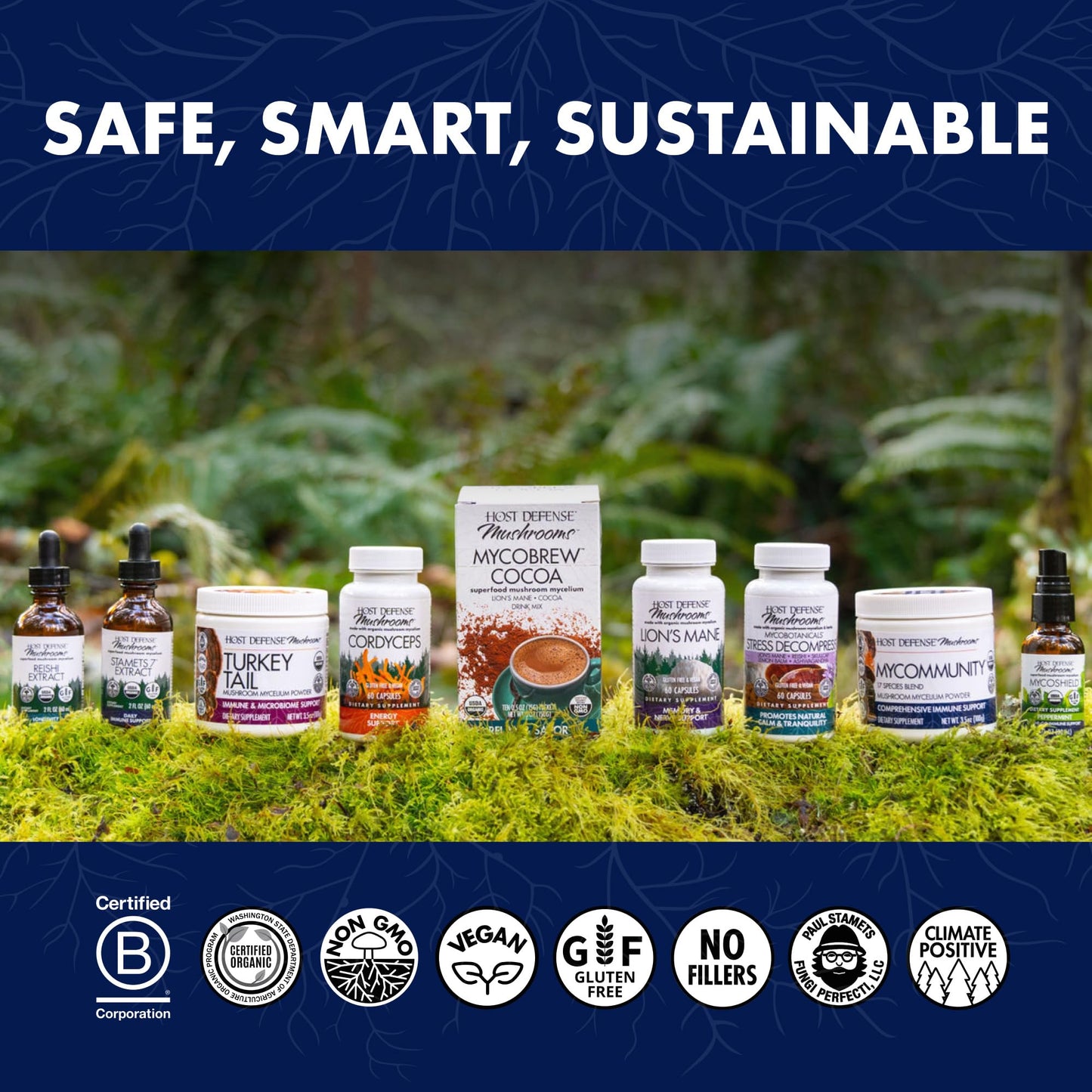 Host Defense Mushrooms Lion's Mane - Supplement Capsules for Brain Health Support - Mushroom Support for Focus & Memory Function - PrimeBioHealth - canada supplements