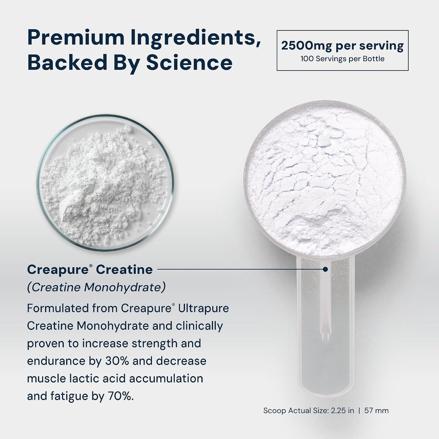 HPN C2 Creatine Monohydrate for Performance, Recovery, Strength, Working Out, Vegan, Non-GMO, Dairy and Soy Free, Independently Tested, Ultrapure Premium Creapure (100 Servings) - PrimeBioHealth - canada supplements