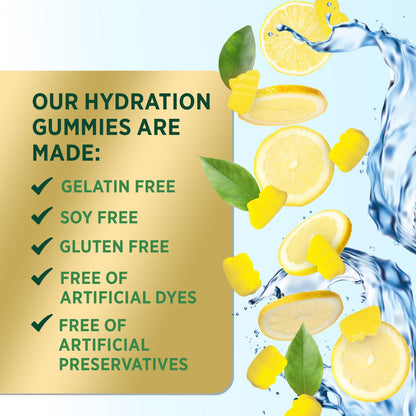 Hydration Electrolyte Gummies - Daily Liquid Replenisher Gummy - Electrolyte Multiplier with Minerals, Potassium & Real Salt - Vegan, Non-GMO - Tasty Lemon Flavor Hydration Electrolytes - 60 Gummies - PrimeBioHealth - canada supplements