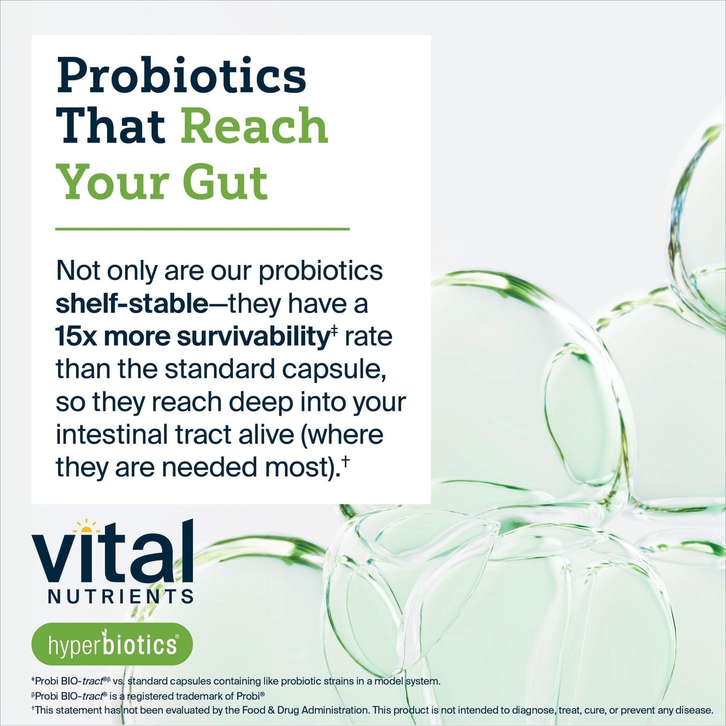 Hyperbiotics Vital Nutrients Pro Women Probiotics for Women | Vaginal Probiotics for PH Balance | Oral Probiotic for Vaginal Health and Urinary Tract Health - PrimeBioHealth - canada supplements