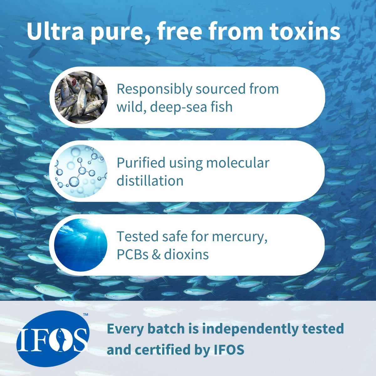 Igennus Ultra Pure Omega 3 Triglyceride rTG Wild Fish Oil 1360mg, IFOS Certified, EPA DHA 1000mg Plus Astaxanthin, Non-GMO, - PrimeBioHealth - canada supplements