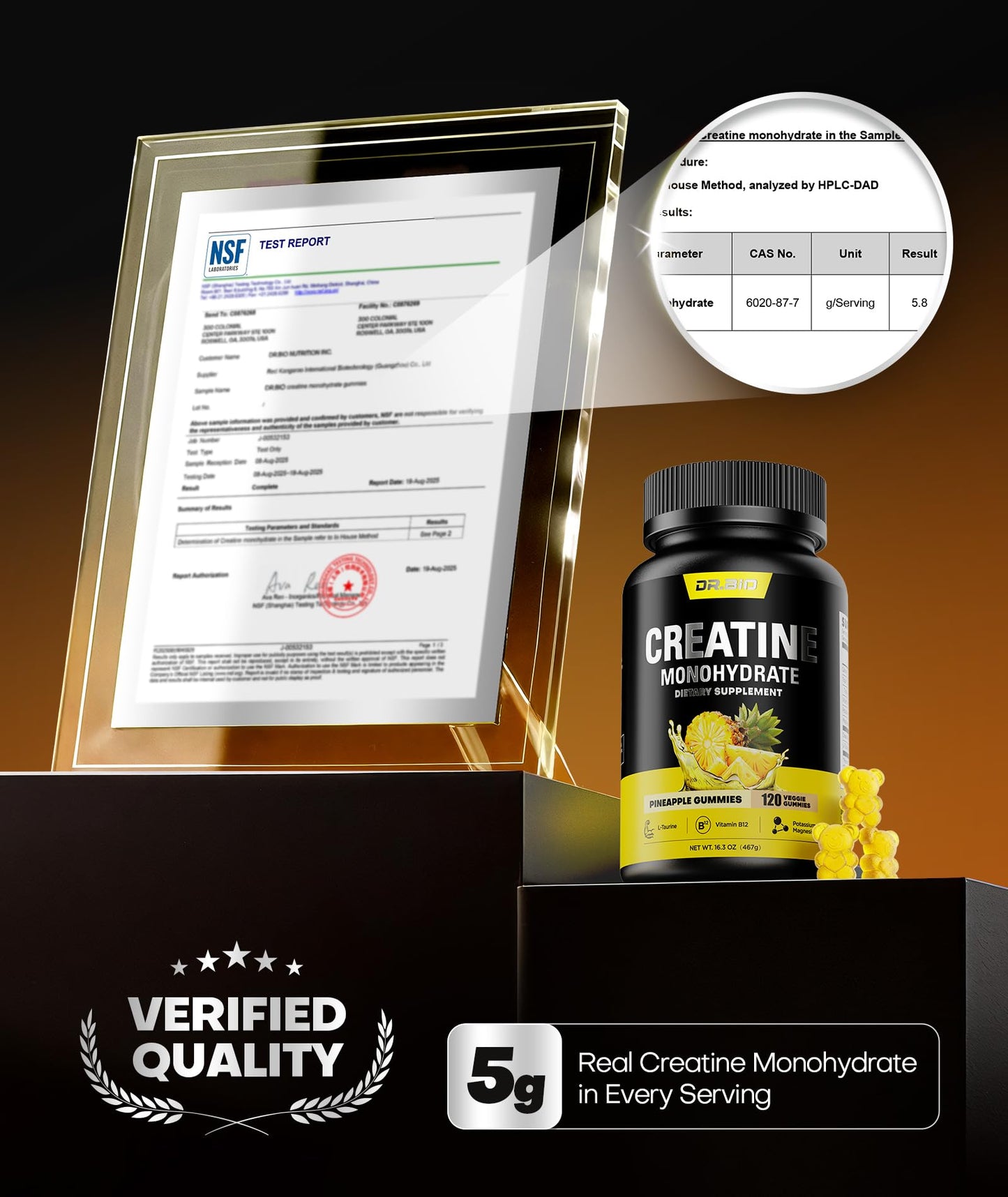 Instant Boost Creatine Monohydrate Gummies, Complex Formula with Real 5000mg Creatine, L-Taurine, B12, Mg & K, Pre-Workout Creatine for Women & Men to Support Energy - PrimeBioHealth - canada supplements