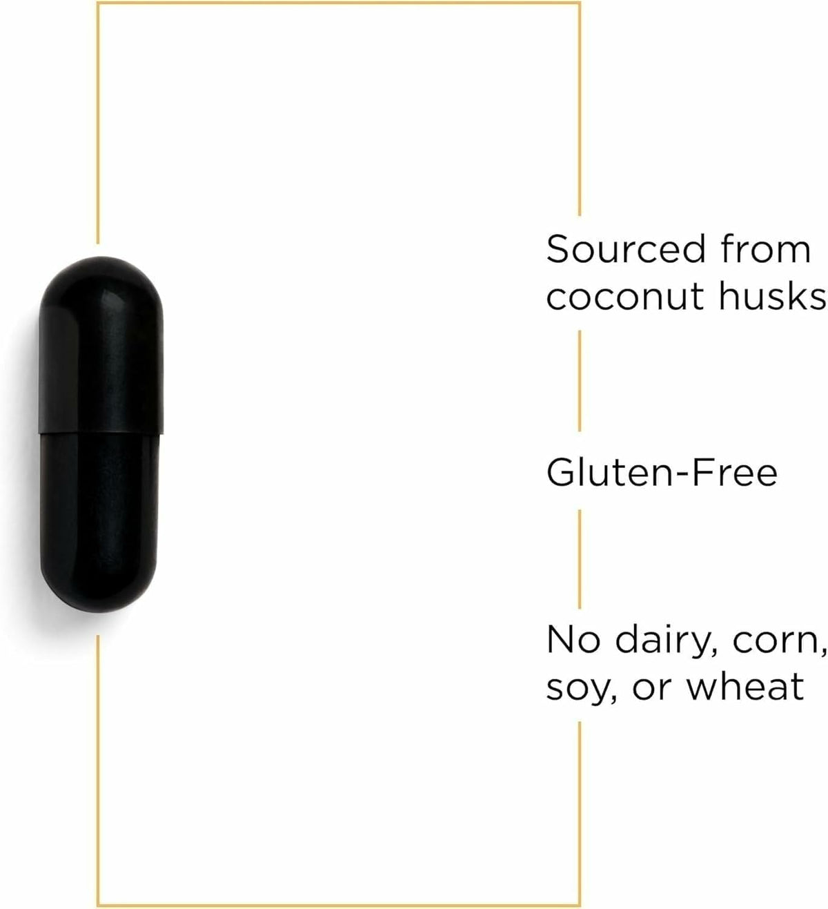 Integrative Therapeutics Activated Charcoal - Digestive & Gut Health Supplement - Effective Gastrointestinal Support - Gluten-Free & Dairy-Free - PrimeBioHealth - canada supplements