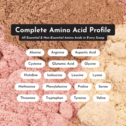 JUST INGREDIENTS Vanilla Protein Powder - Grass-Fed Whey Blend, Organic, Gluten Free, Dairy Free, Soy Free - 15 Servings, 22g Protein - PrimeBioHealth - canada supplements