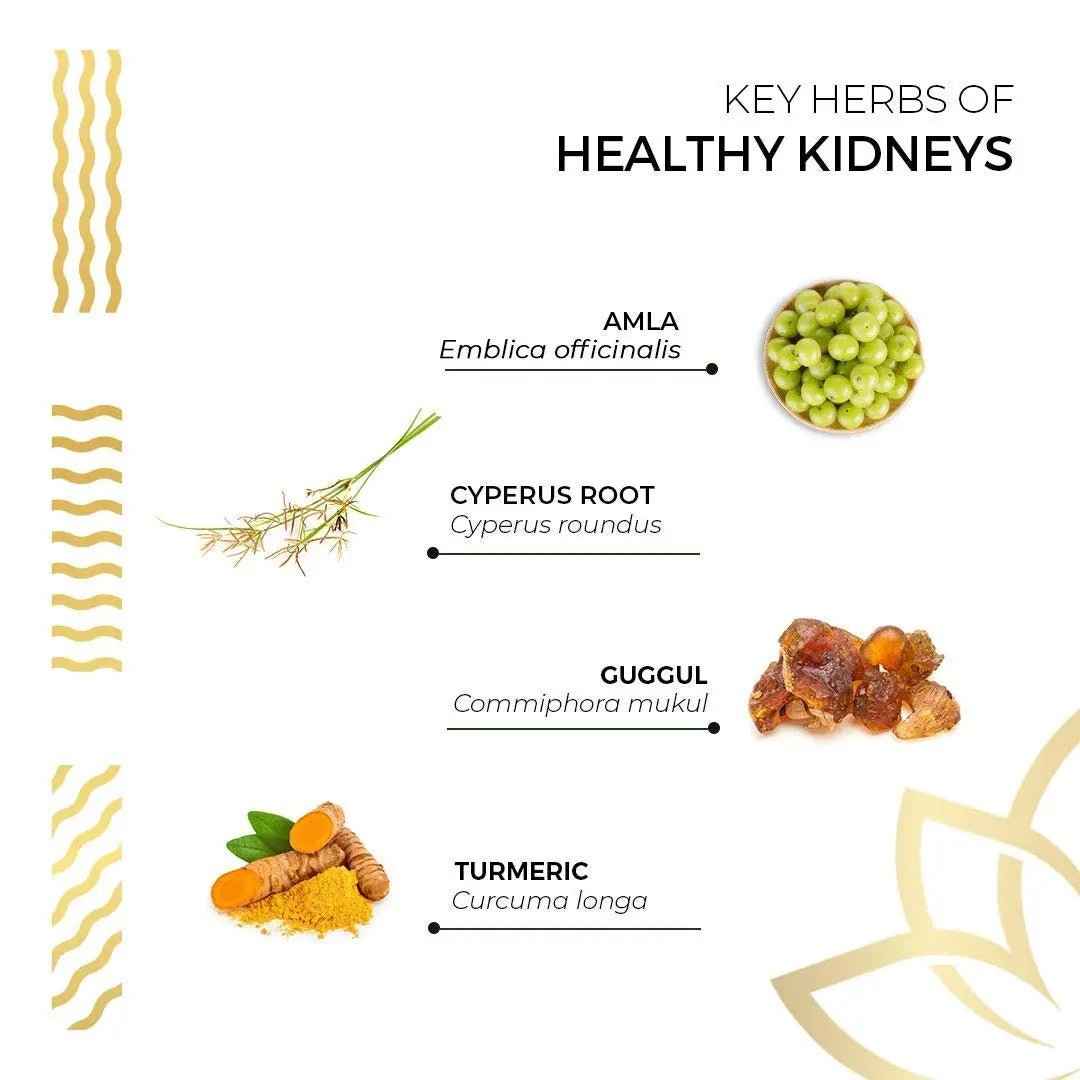 Kerala Ayurveda Healthy Kidney Herbal Tablets | Support Normal Kidney Function and Health | Kidney and Bladder Support | Urinary System Support - 90 Count
