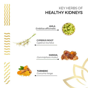 Kerala Ayurveda Healthy Kidney Herbal Tablets | Support Normal Kidney Function and Health | Kidney and Bladder Support | Urinary System Support - 90 Count