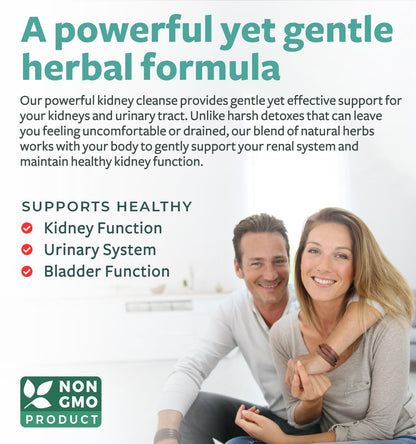 Kidney Cleanse Detox (Non-GMO) Support Healthy Urinary Tract- Powerful VitaCran Cranberry Extract & Herbs – Healthy Kidney Support Supplement - 60 Vegetarian Capsules (No Pills) - PrimeBioHealth - canada supplements