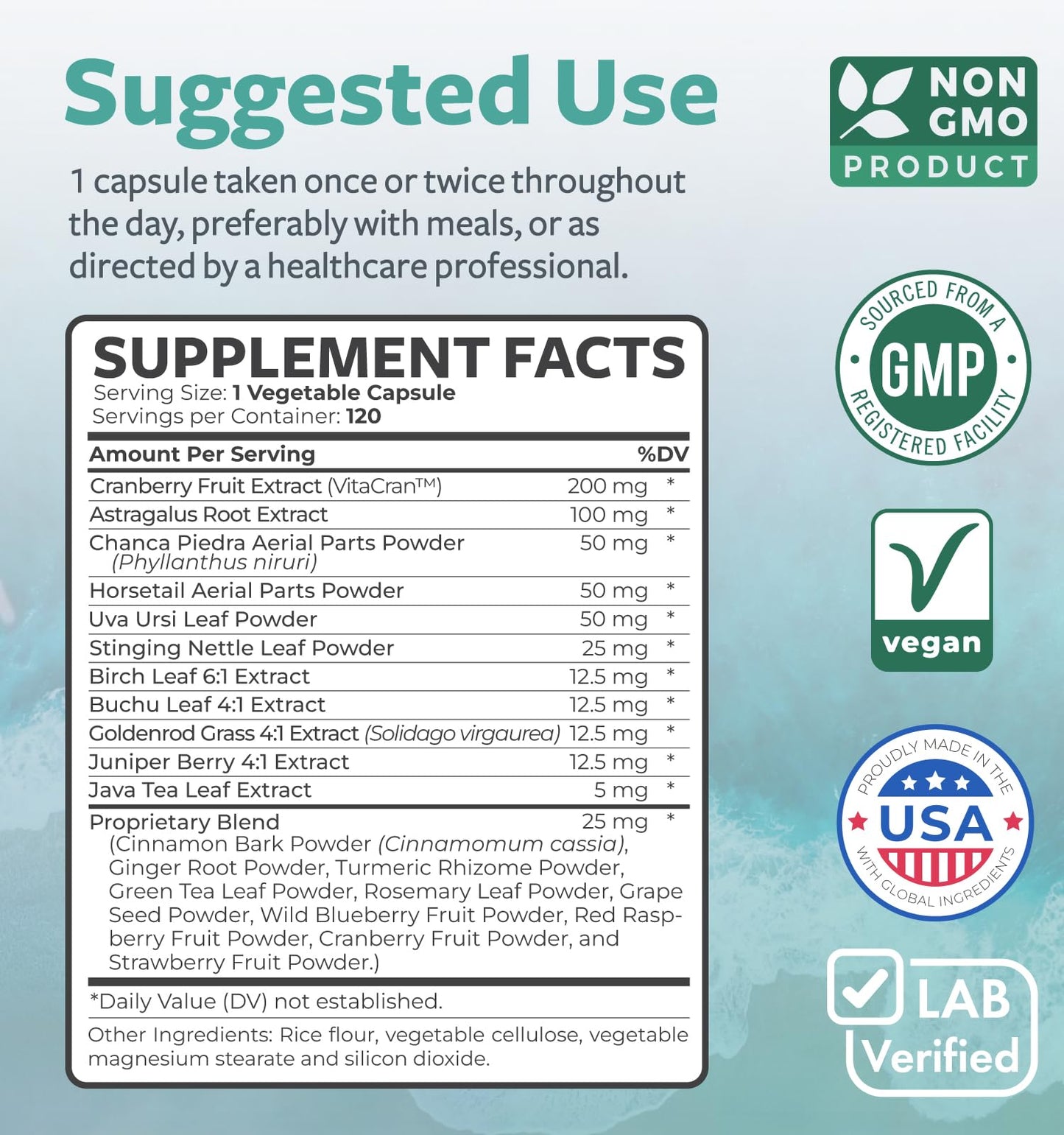 Kidney Cleanse Detox (Non-GMO) Support Healthy Urinary Tract- Powerful VitaCran Cranberry Extract & Herbs – Healthy Kidney Support Supplement - 60 Vegetarian Capsules (No Pills) - PrimeBioHealth - canada supplements