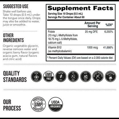 L Methyl Folate 15mg Plus Methyl B12 Cofactor – Organic Berry Flavor, High Potency Liquid Sublingual Active 5-MTHF Form - Supports Mood, Methylation - PrimeBioHealth - canada supplements