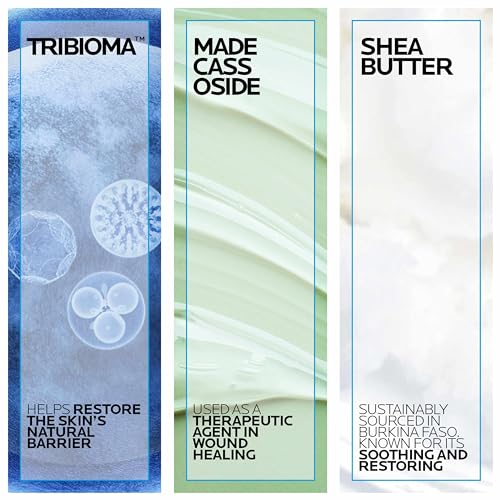 La Roche-Posay Cicaplast Balm B5 UV SPF 50, Vitamin B5 + Shea Butter + Tribioma + Madecassoside + Zinc Oxide Sunscreen - PrimeBioHealth - canada supplements