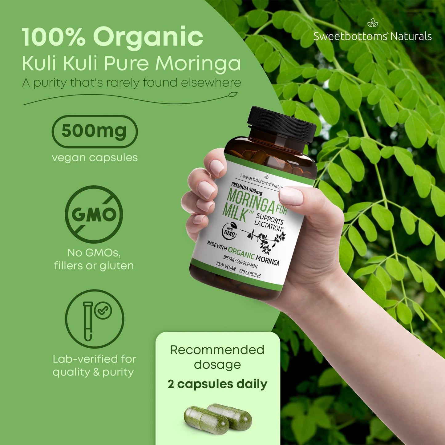 Lactation Supplement - Organic Moringa Capsules for Breastfeeding Support to Increase Breastmilk Supply (120 ct) Pure Malunggay Leaf Powder for Milk Production Booster - PrimeBioHealth - canada supplements