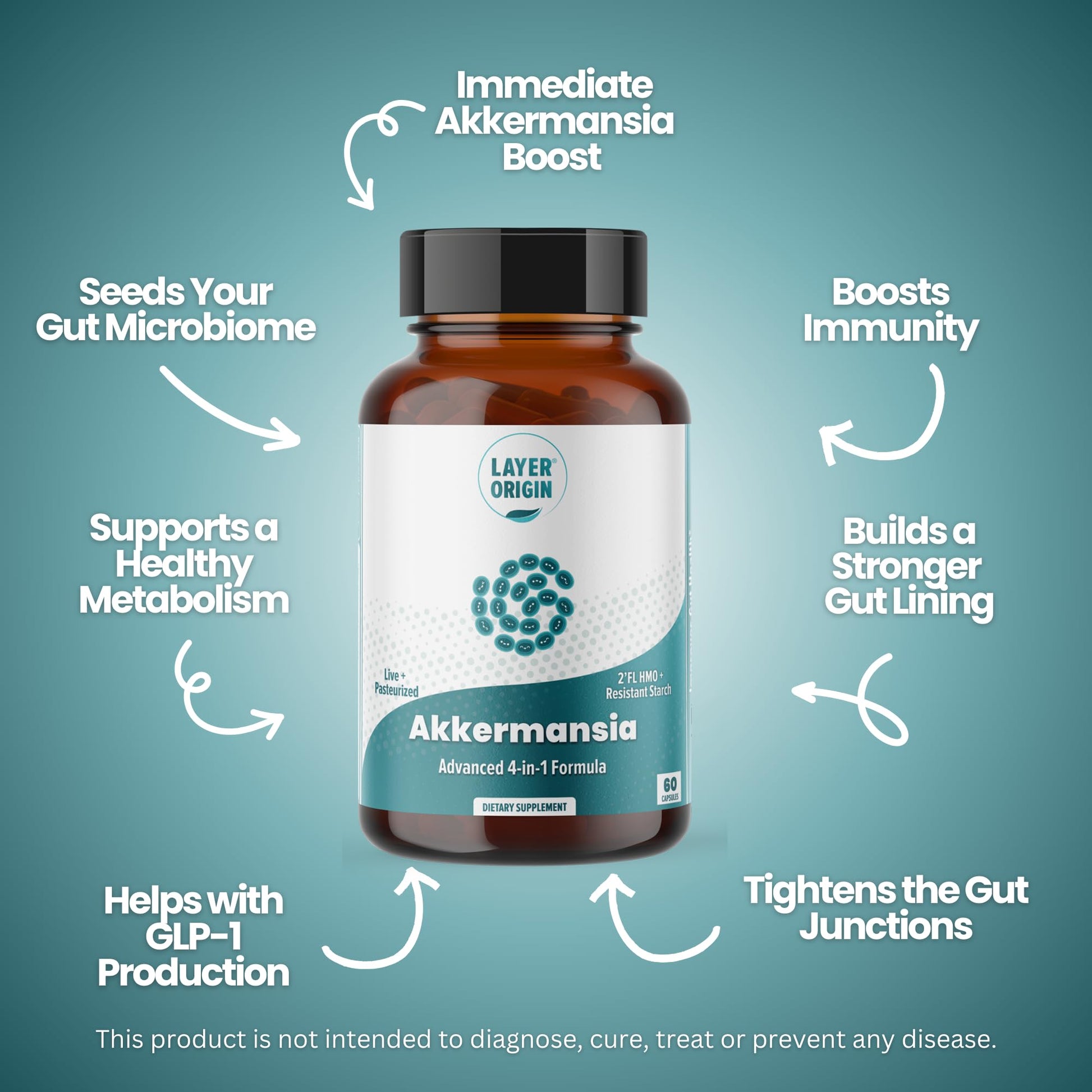 Layer Origin Akkermansia muciniphila Probiotic, with Both Live + Pasteurized Akkermansia and PureHMO Prebiotic, Validated Strain, Updated 4-in-1 Formula - PrimeBioHealth - canada supplements