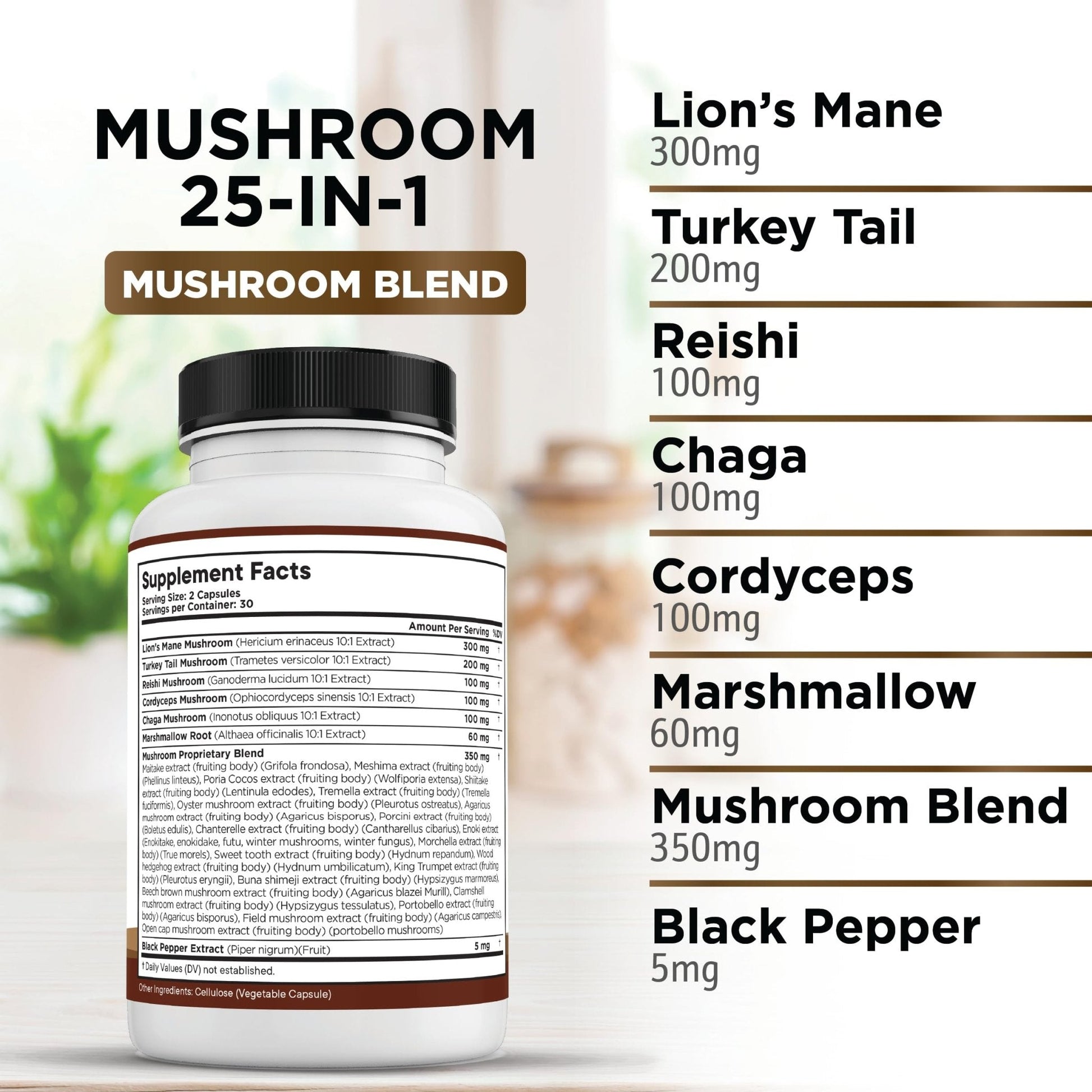 Liberty Lifestyle Lions Mane Mushroom Supplement with Turkey Tail Reishi Cordyceps Chaga with Marshmallow Root - 2-Pack - PrimeBioHealth - canada supplements