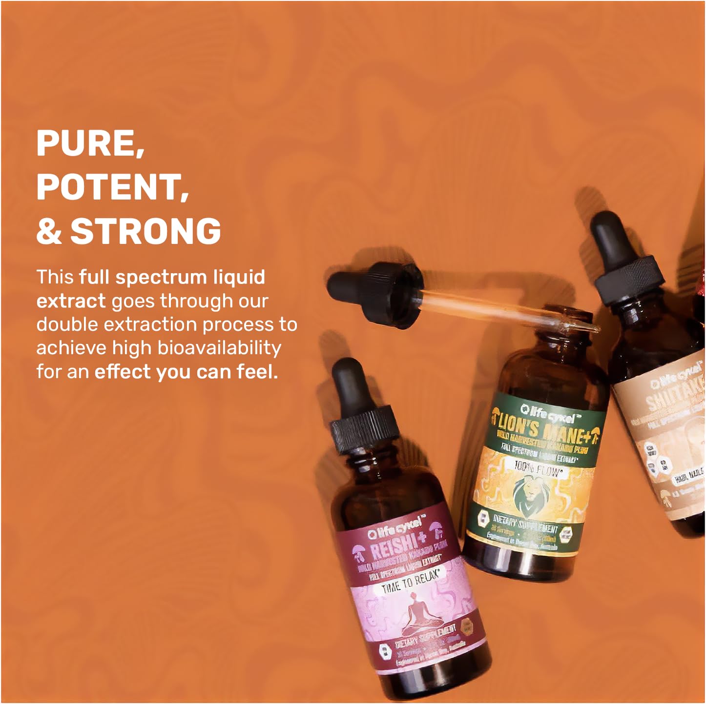 Life Cykel - Chaga Mushroom Extract with Kakadu Plum - Double Extracted Mushroom Tincture - Non-GMO Immune Support Supplement for Adults and Kids - 1 Fl Oz - PrimeBioHealth - canada supplements
