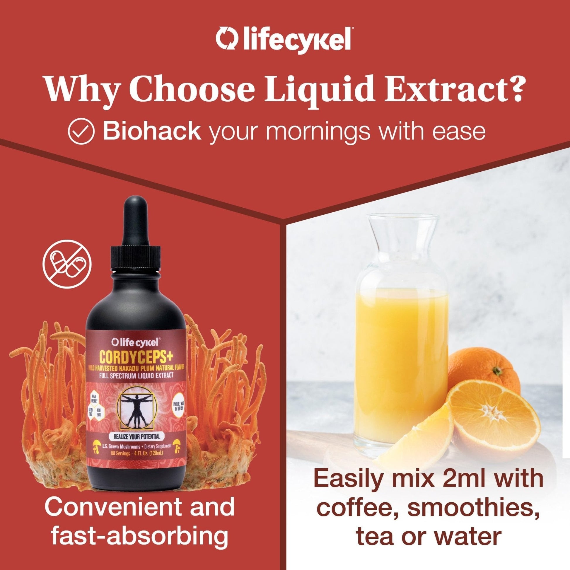 Life Cykel Cordyceps Mushroom Extract with Kakadu Plum - Energy, Stamina & Vitality Support, Natural Aging Supplement - Non-GMO and Vegan Tincture - 4Fl Oz - PrimeBioHealth - canada supplements