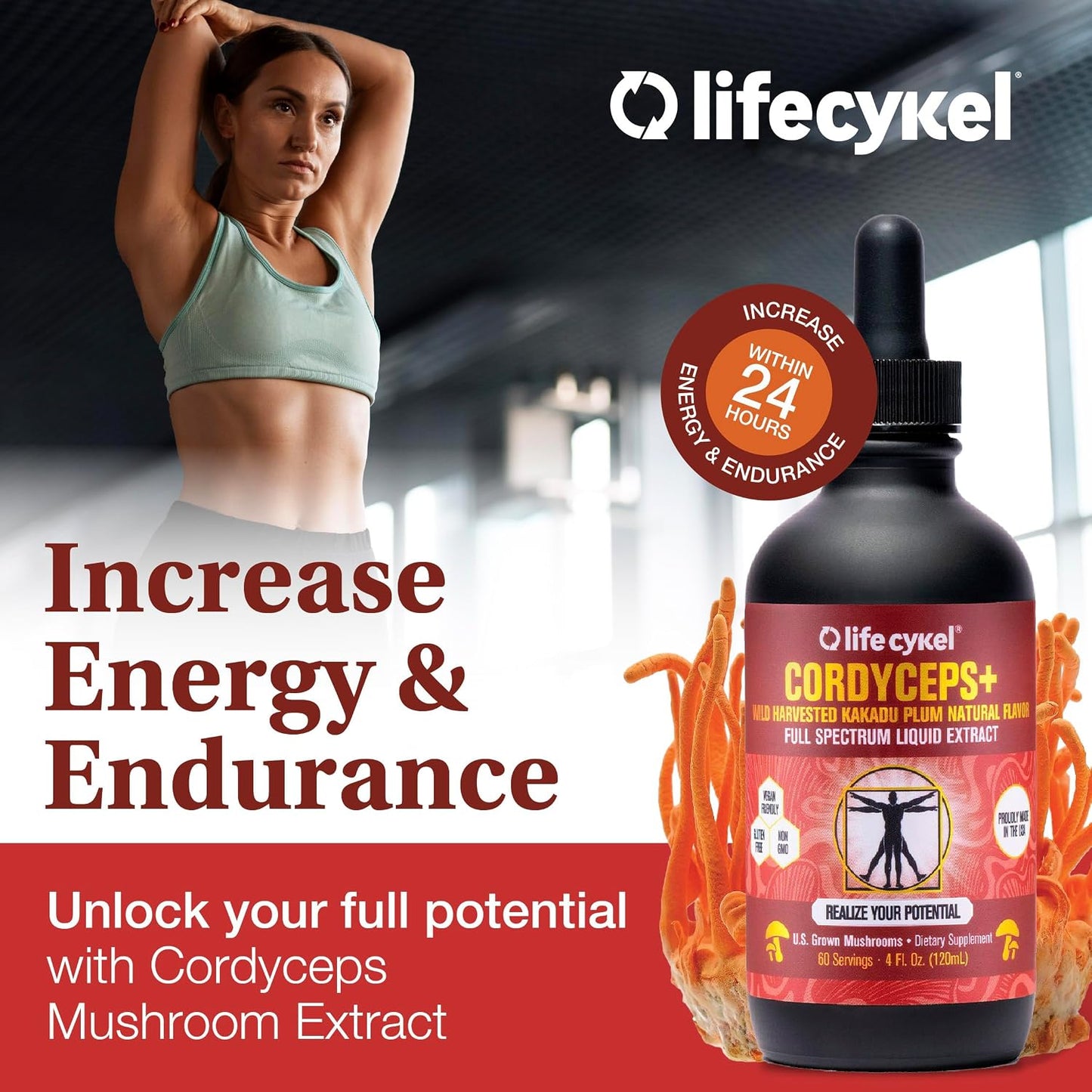 Life Cykel This is It Pack - Chaga, Lion's Mane & Cordyceps Mushroom Extract - Full-Spectrum Mushroom Tincture for Energy, Mental Clarity & Immune Support - Vegan, Non-GMO- 2Fl/Oz Per Bottle - PrimeBioHealth - canada supplements