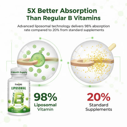 Liposomal B Complex for High Absorption Methylated B12,L-Methyfolate(5-MTHF ),Full Active B Vitamins with Choline Inositol-Energy, Metabolism,Brain & Heart Support - PrimeBioHealth - canada supplements