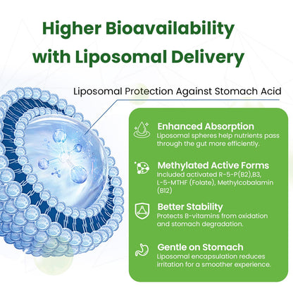 Liposomal B Complex for High Absorption Methylated B12,L-Methyfolate(5-MTHF ),Full Active B Vitamins with Choline Inositol-Energy, Metabolism,Brain & Heart Support - PrimeBioHealth - canada supplements