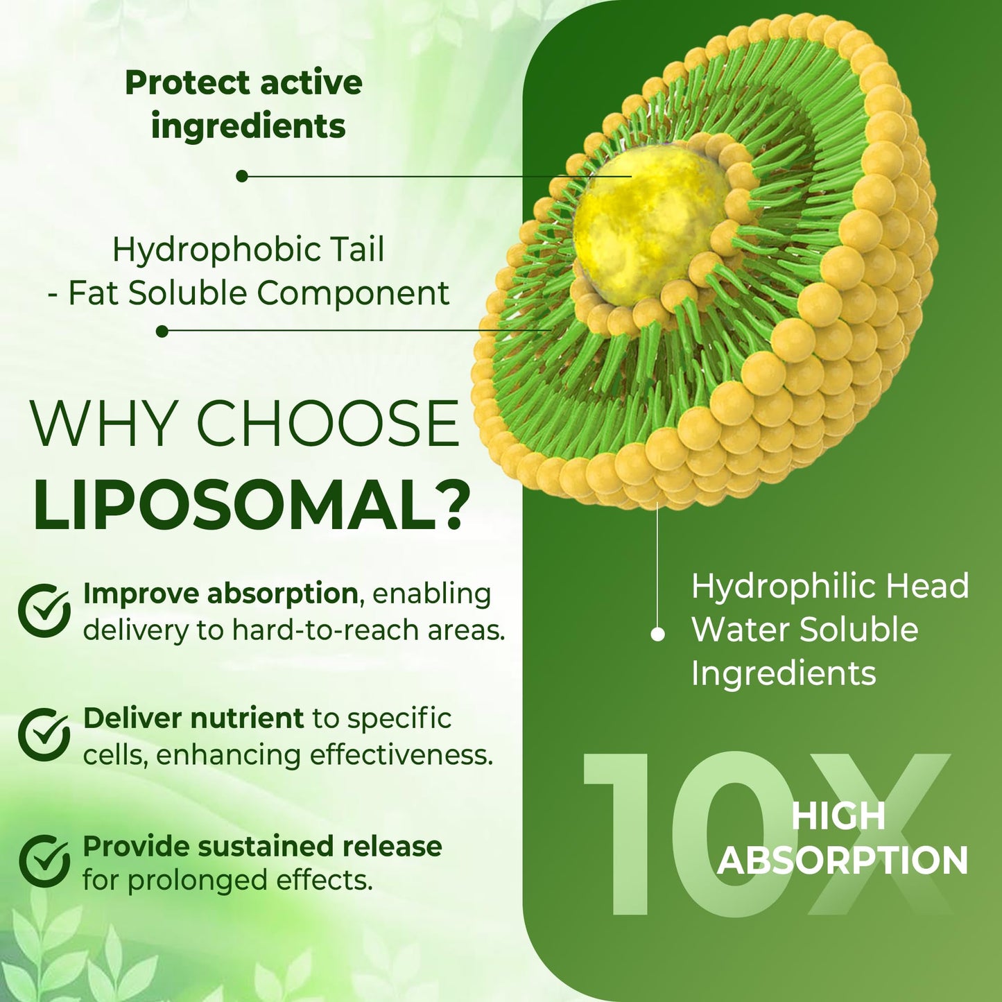Liposomal L-Theanine 200mg Magnesium Glycinate 400mg Gummies with GABA, 5HTP, Apigenin, Vitamin B6 & D3, Ashwagandha, Lemon Balm Leaf, Melatonin Free Sleep - PrimeBioHealth - canada supplements