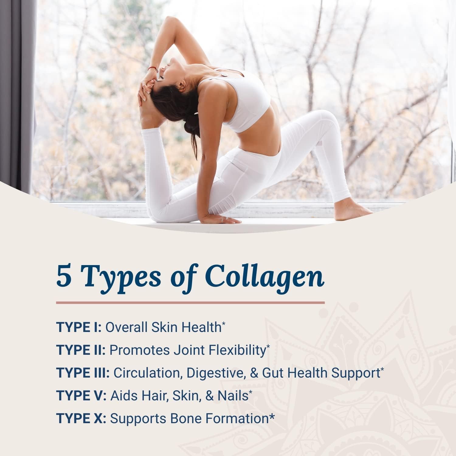 Live Conscious Beyond Collagen Powder & Beyond Hormone | Hair, Skin, Nail, and Joint Support + Promotes Healthy Estrogen Balance for Women - PrimeBioHealth - canada supplements