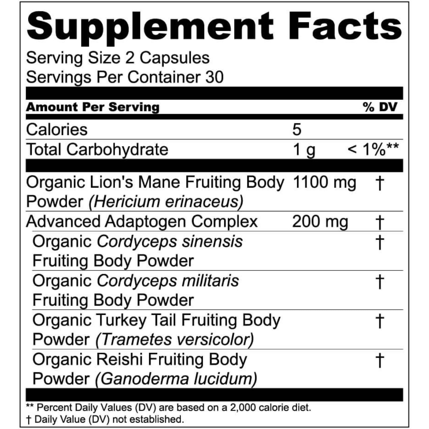 Live Conscious Lions Mane Mushroom Supplement Capsules for Brain Support w/Lion's Mane, Cordyceps, Reishi, and Turkey Tail Mushrooms - Cognitive Memory Supplement for Brain - PrimeBioHealth - canada supplements