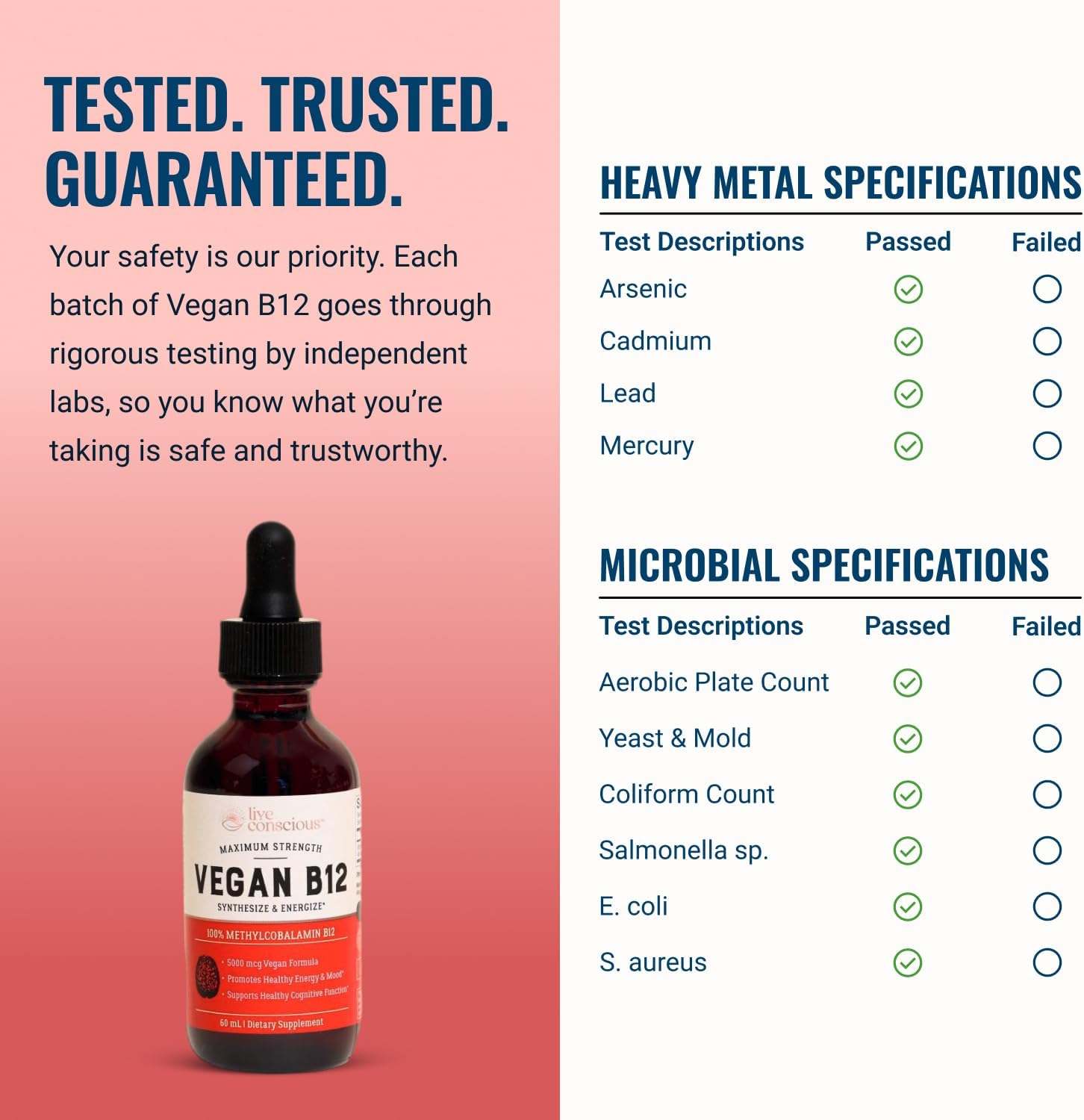 Live Conscious Vegan Vitamin B12 Sublingual Liquid Drops | Methylcobalamin Max Strength B12 5000mcg Formula | Vegan B 12 Vitamin Support Energy | Promote Memory & Aid Immune System | 60 Serving - PrimeBioHealth - canada supplements