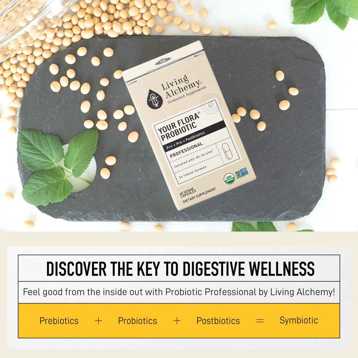 Living Alchemy Gut Health Supplements for Men & Women - Your Flora Probiotic Professional Digestion Supplement with Fermented Soybean, Prebiotics, - PrimeBioHealth - canada supplements