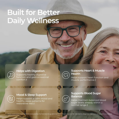 Livingood Daily Magnesium Supplement with Magnesium Glycinate, Citrate, Malate, Oxide, Aspartate, Amino Acid Complex and Chicory Root for Heart Health - PrimeBioHealth - canada supplements