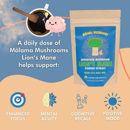 Malama All-Day Vitality Bundle – Lion’s Mane, Cordyceps & Reishi Mushroom Extract Powders – Organic Adaptogenic Superfood Trio for Focus, Energy & Relaxation – Vegan Supplements 3.5 oz (3-Pack) - PrimeBioHealth - canada supplements