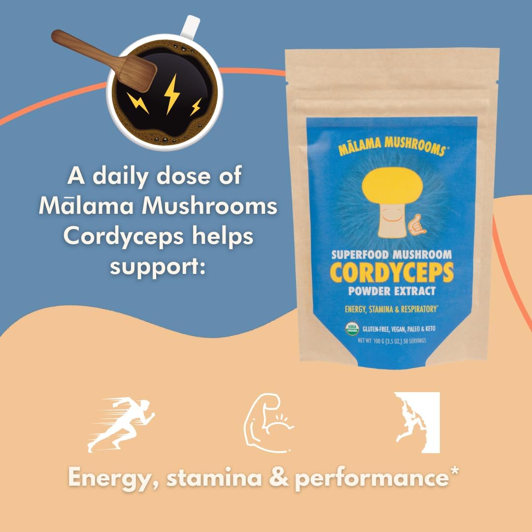 Malama All-Day Vitality Bundle – Lion’s Mane, Cordyceps & Reishi Mushroom Extract Powders – Organic Adaptogenic Superfood Trio for Focus, Energy & Relaxation – Vegan Supplements 3.5 oz (3-Pack) - PrimeBioHealth - canada supplements