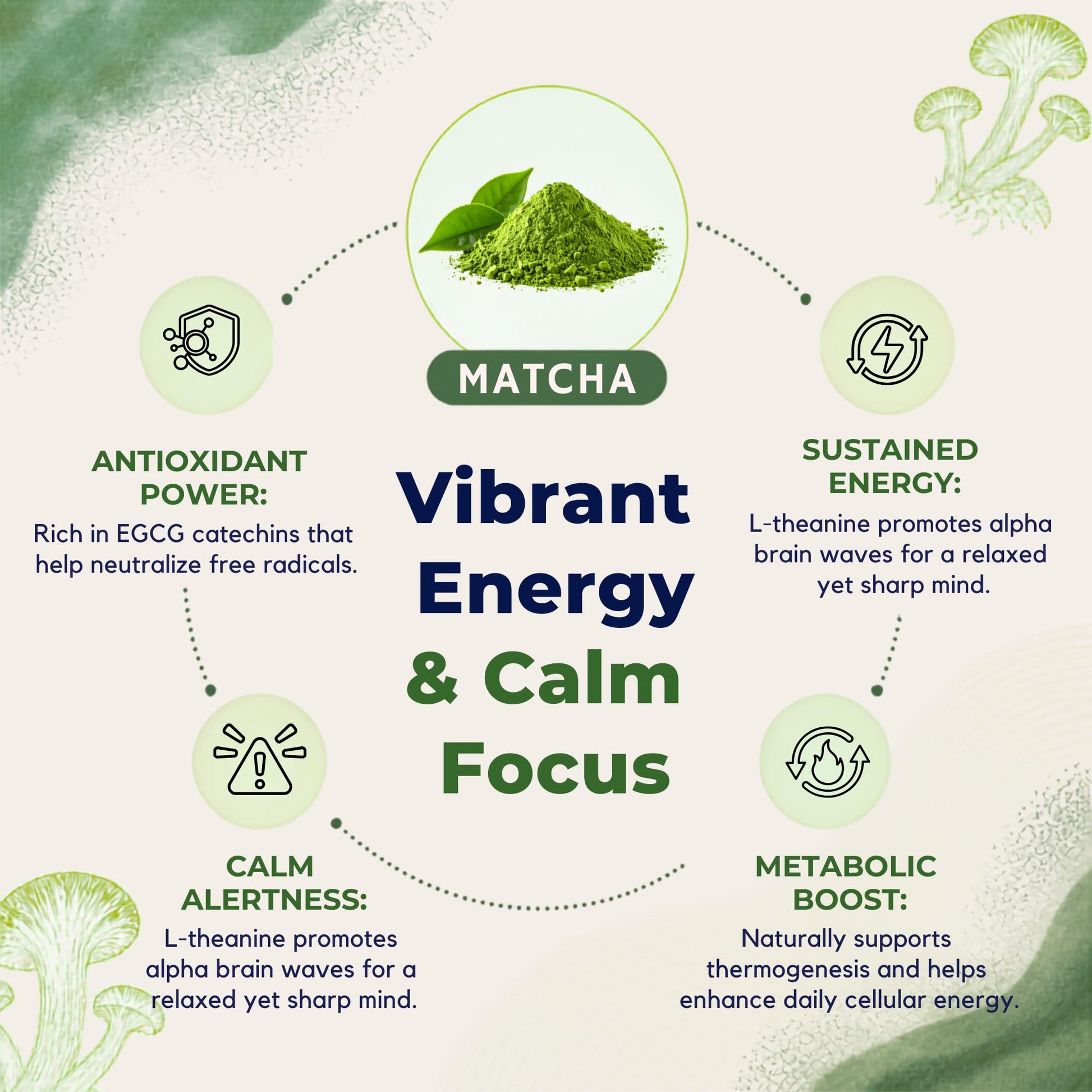 Malama Ceremonial Grade Matcha Powder - Premium Japanese Matcha Green Tea Powder with Organic Lion’s Mane Extract - Organic, Gluten-Free, Vegan, & Unsweetened (2.1 oz) for Energy & Focus - PrimeBioHealth - canada supplements