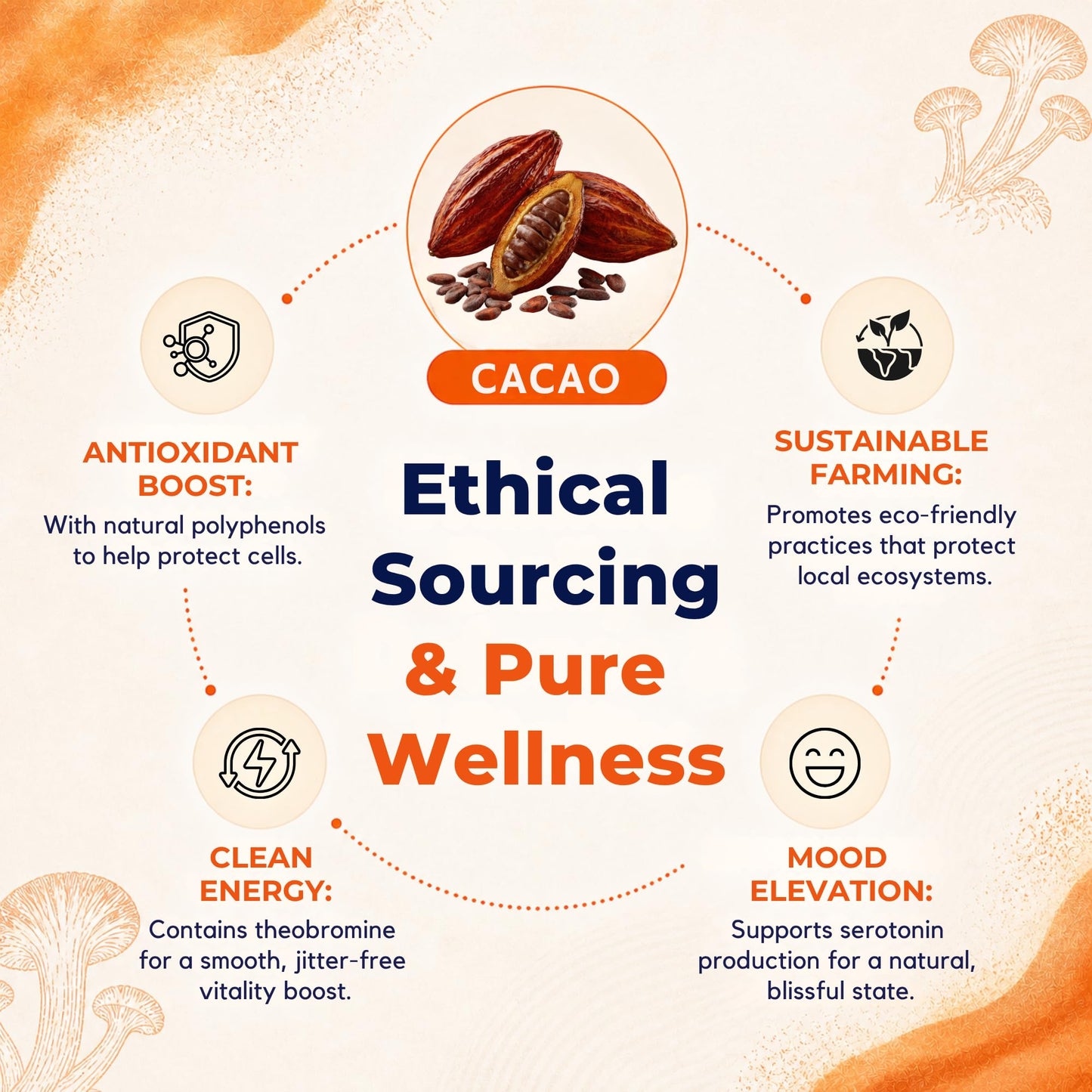 Malama Organic Mushroom Hot Cacao Mix, Lion's Mane Mushroom Powder with Fair Trade Cacao for Focus, Memory, & Immune Support – Vegan Superfood, Non GMO, 3.5 oz (50 Servings) - PrimeBioHealth - canada supplements