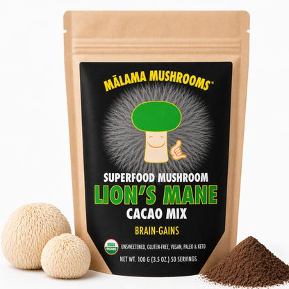Malama Organic Mushroom Hot Cacao Mix, Lion's Mane Mushroom Powder with Fair Trade Cacao for Focus, Memory, & Immune Support – Vegan Superfood, Non GMO, 3.5 oz (50 Servings) - PrimeBioHealth - canada supplements