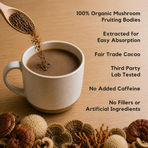Malama Organic Mushroom Hot Cacao Mix, Lion's Mane Mushroom Powder with Fair Trade Cacao for Focus, Memory, & Immune Support – Vegan Superfood, Non GMO, 3.5 oz (50 Servings) - PrimeBioHealth - canada supplements