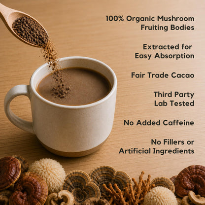 Malama Organic Mushroom Hot Cacao Mix, Lion's Mane Mushroom Powder with Fair Trade Cacao for Focus, Memory, & Immune Support – Vegan Superfood, Non GMO, 3.5 oz (50 Servings) - PrimeBioHealth - canada supplements