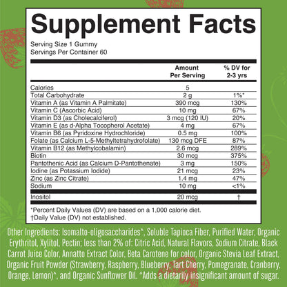 MARYRUTH'S Kids Vitamins | Multi | Sugar Free | 2 Month Supply | Kids Multivitamin Gummies for Ages 2+ | Vegan | Only 1 Gummy a Day | 60 Count - PrimeBioHealth - canada supplements