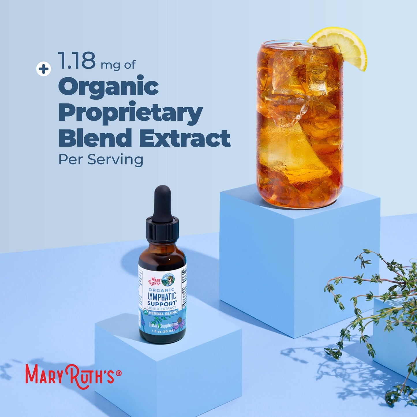 MARYRUTH'S Lymphatic Support Liquid Drops USDA Organic | Herbal Blend with Echinacea & Elderberry | Blue Vervain - PrimeBioHealth - canada supplements