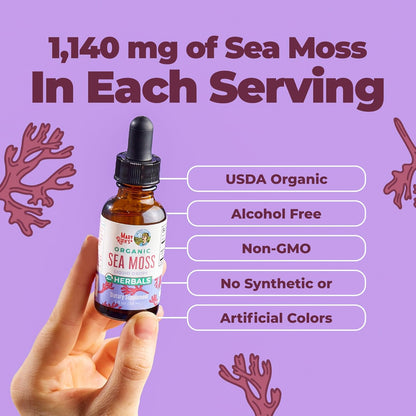 MARYRUTH'S Organic Irish Sea Moss Liquid Drops | Chondrus Crispus | Wild Harvested | Organic Irish Moss Formulated for Adults & Kids Ages 14+ | Unflavored | Sugar Free | Vegan | Non-GMO | 1 Fl Oz - PrimeBioHealth - canada supplements