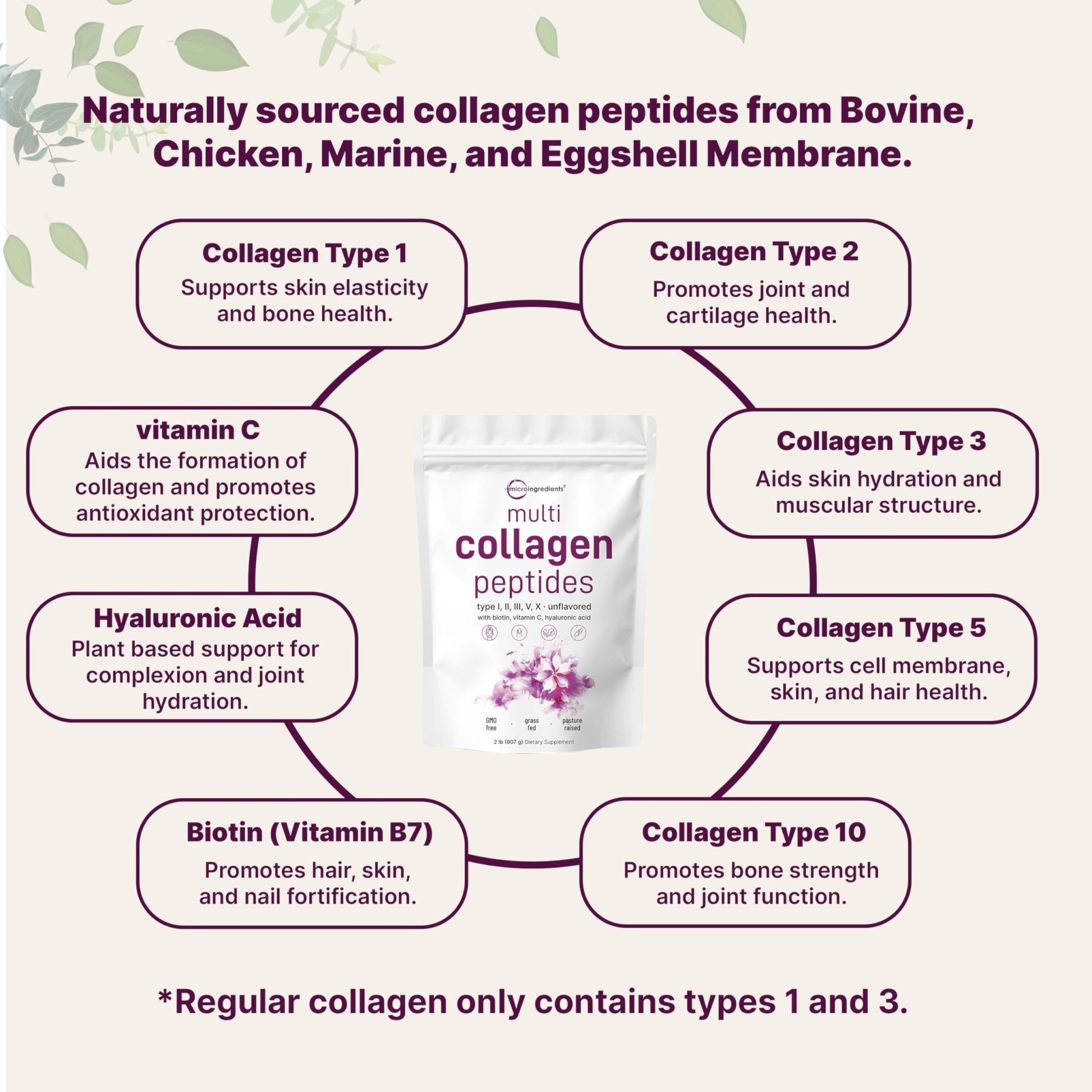 Micro Ingredients Multi Collagen Peptides Powder, 2lb – Hydrolyzed Type I,II,III,V,X with Biotin, Hyaluronic Acid, Vitamin C – Unflavored Collagen for Women & Men - PrimeBioHealth - canada supplements