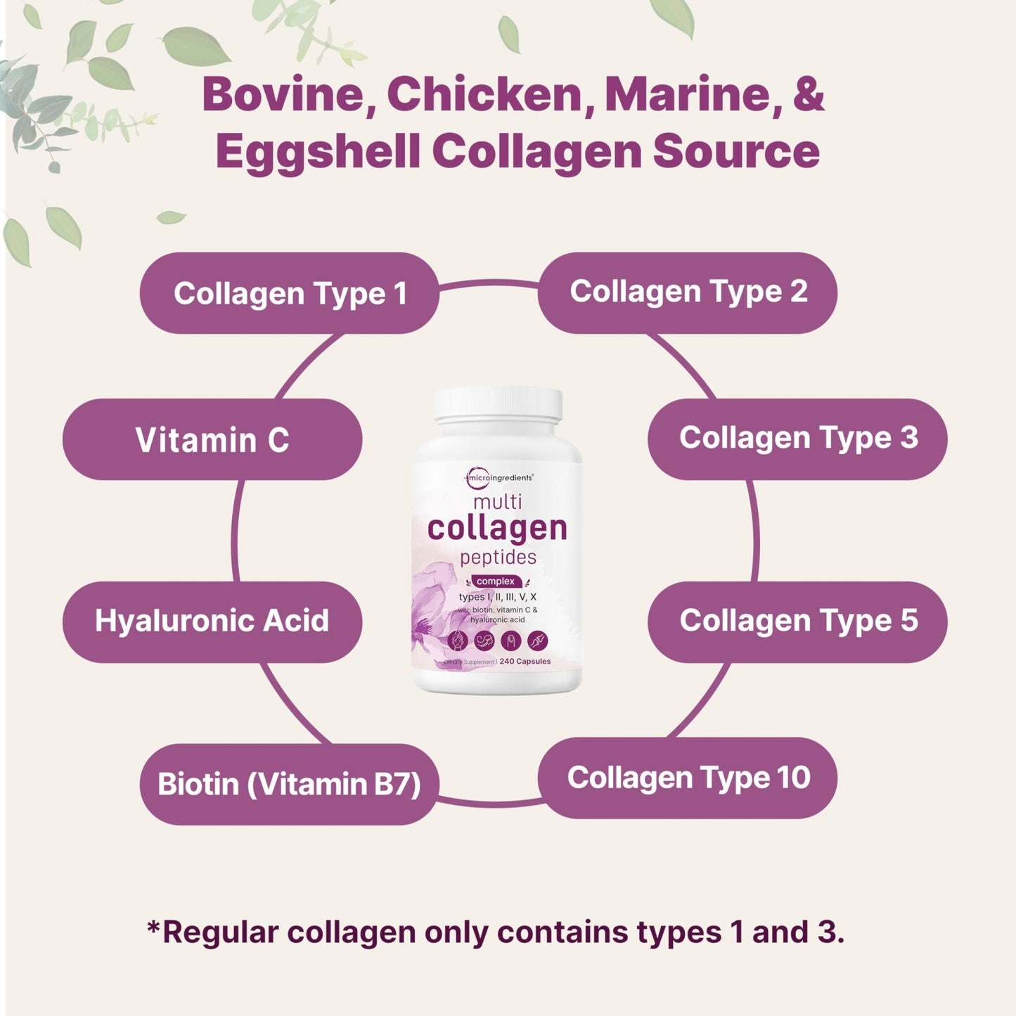 Micro Ingredients Multi Collagen Pills for Women & Men, 240 Capsules | Type I, II, III, V, X | Hydrolyzed Peptides with Biotin, Hyaluronic Acid - PrimeBioHealth - canada supplements