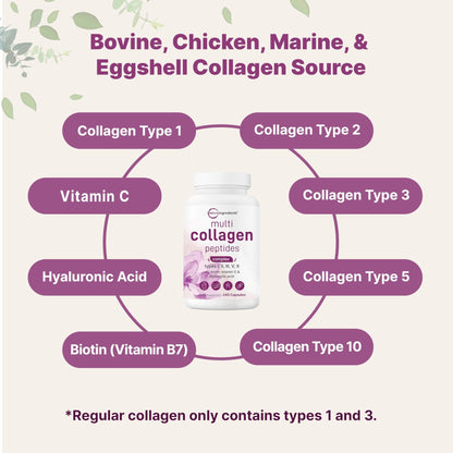 Micro Ingredients Multi Collagen Pills for Women & Men, 240 Capsules | Type I, II, III, V, X | Hydrolyzed Peptides with Biotin, Hyaluronic Acid - PrimeBioHealth - canada supplements