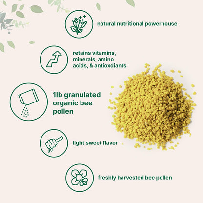 Micro Ingredients Organic Bee Pollen Granules, 1 lb | Fresh Harvest, Raw & Natural Superfood | Rich in B Vitamins, Minerals, Protein & Antioxidants | Keto, Non-GMO - PrimeBioHealth - canada supplements
