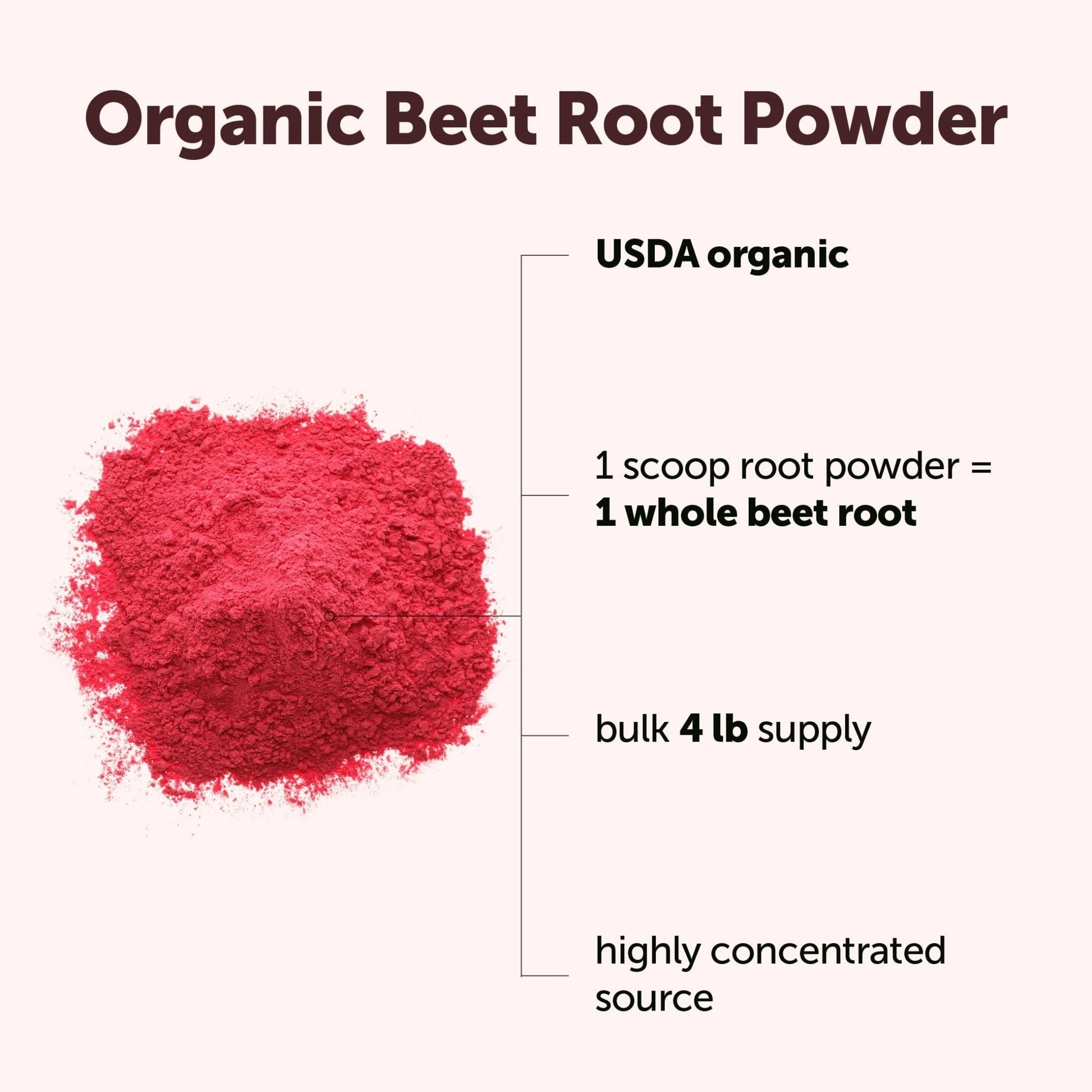 Micro Ingredients Organic Beet Root Powder, 4 Pounds | Cold Pressed, Water Soluble, High Concentrated Raw Beetroot Supplement | Natural Nitric Oxide Superfood Drink Mix - PrimeBioHealth - canada supplements