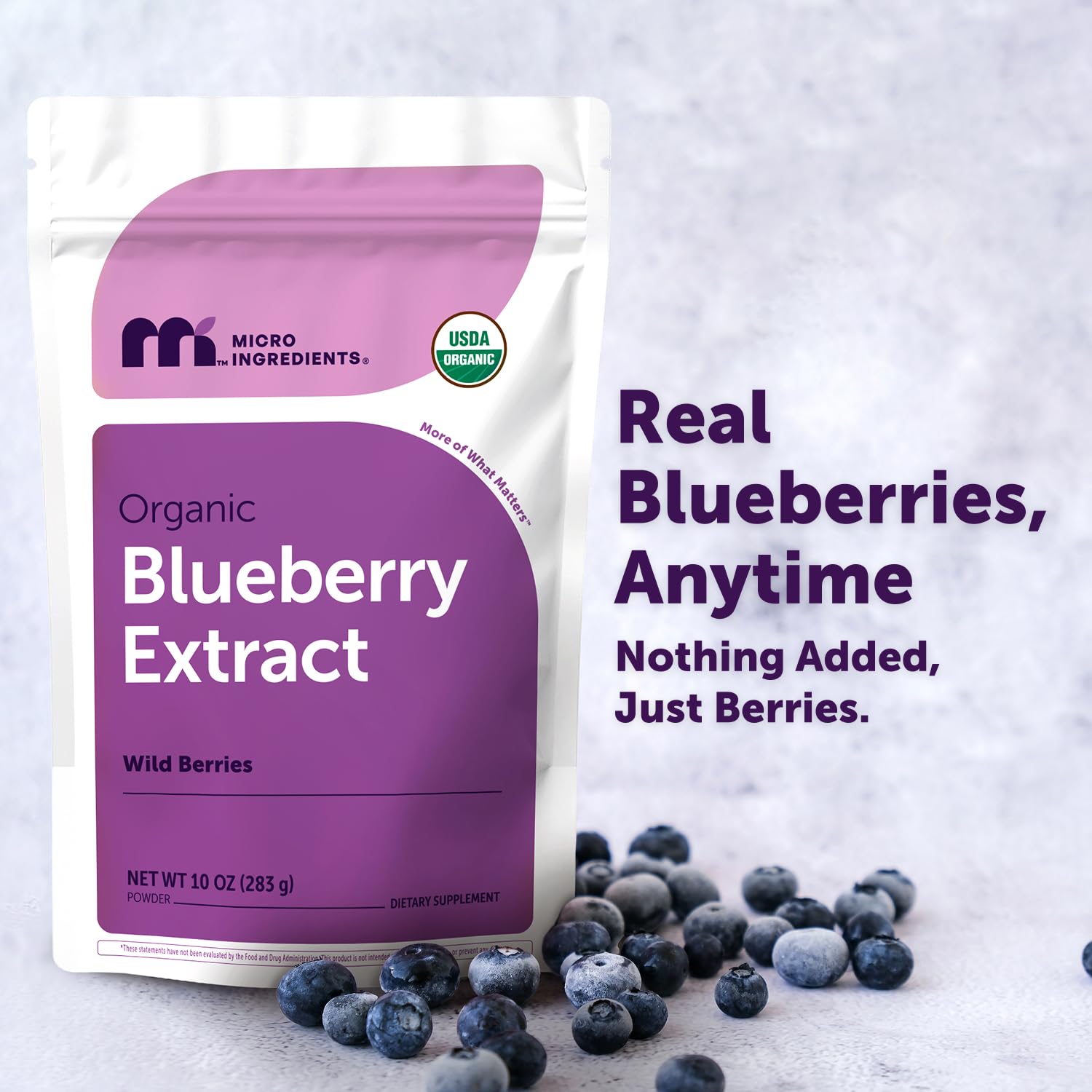 Micro Ingredients Organic Blueberry Extract Powder, 10oz | Natural Fruit Flavor | Freeze-Dried Wild Blueberries Source | No Sugar & Additives | Great for Drinks, Smoothie, & Beverages | Non-GMO & Vegan - PrimeBioHealth - canada supplements